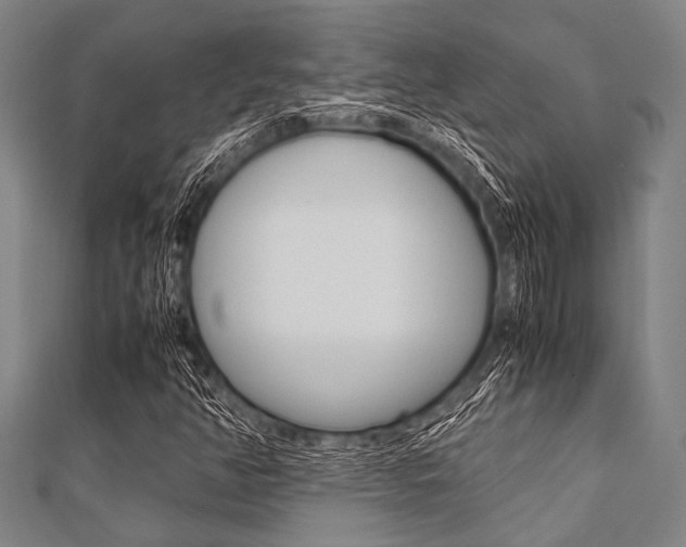 X0000112111350200908041143