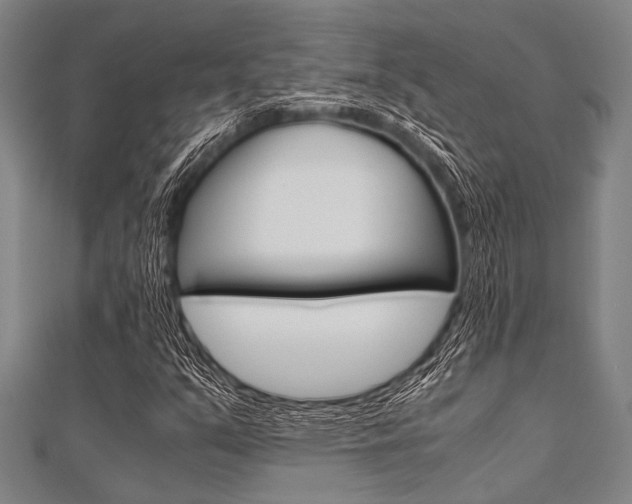 X0000112111351200908041143