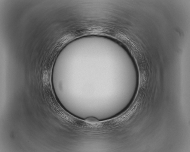 X0000112111353200908041143