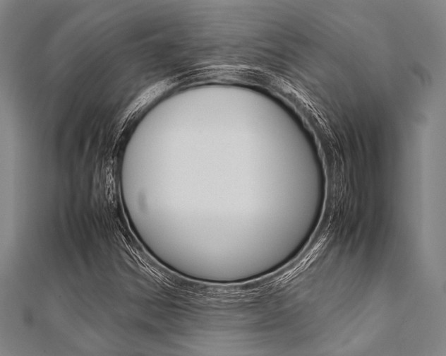 X0000112111354200908041143