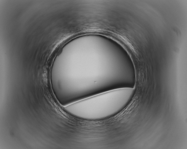 X0000112111356200908041143