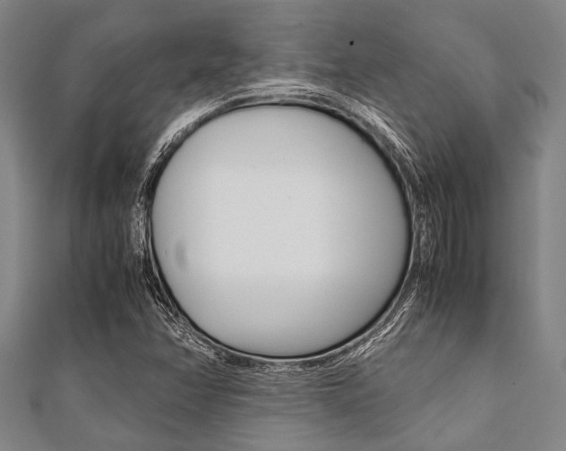 X0000112111358200908041142