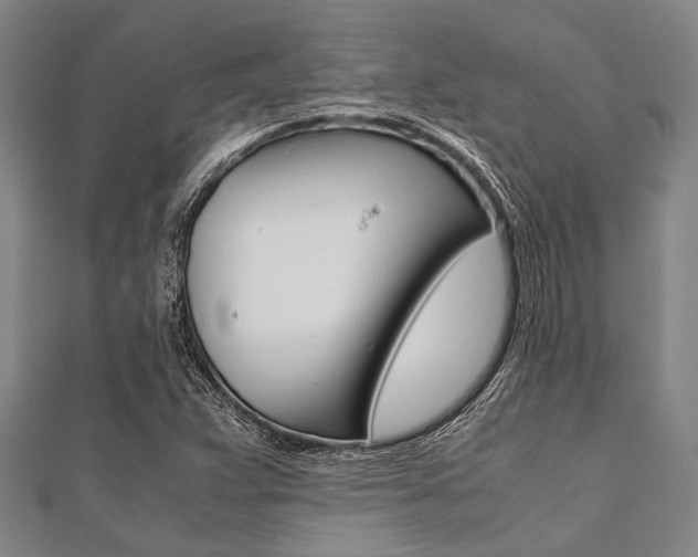 X0000112111359200908041142