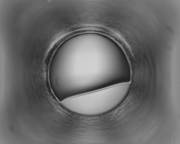 X0000112111360200908041142