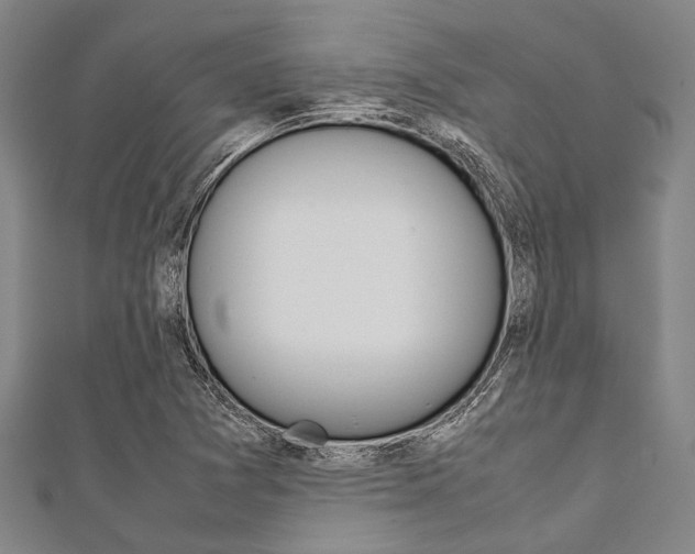 X0000112111361200908041142