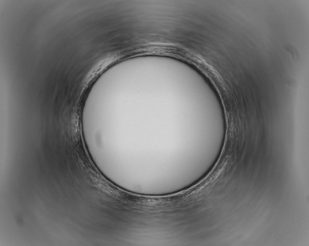 X0000112111362200908041142