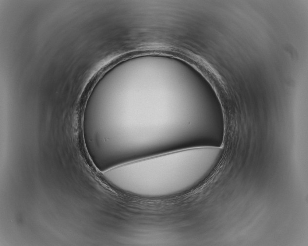 X0000112111364200908041142