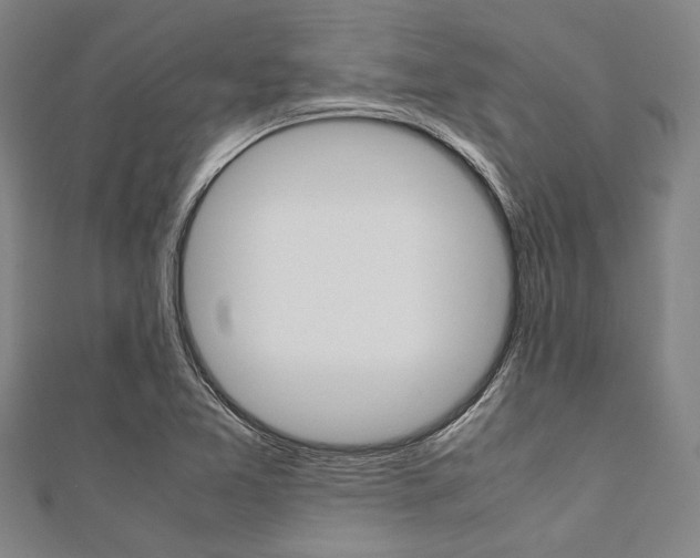 X0000112111365200908041142