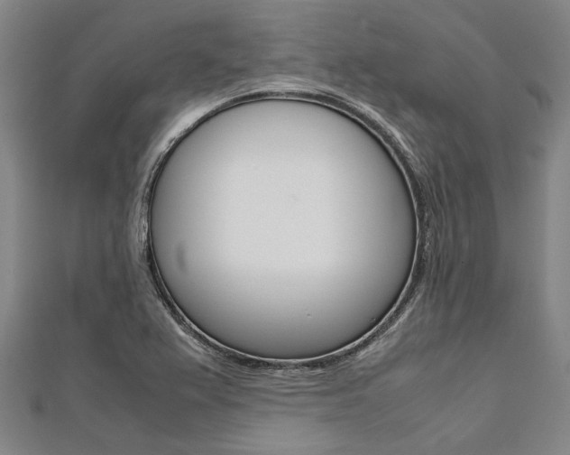 X0000112111367200908041142