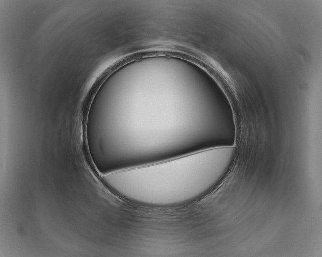 X0000112111368200908041142