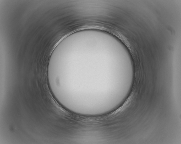 X0000112111369200908041142