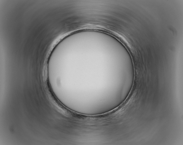 X0000112111371200908041142