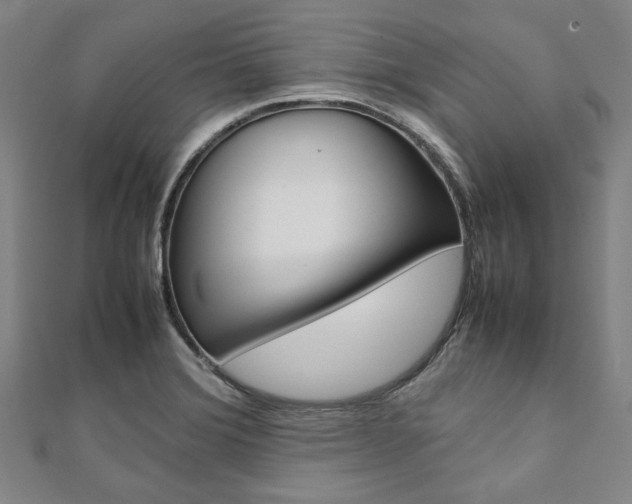 X0000112111372200908041142