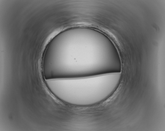X0000112111373200908041142