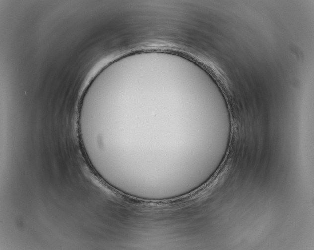 X0000112111374200908041142