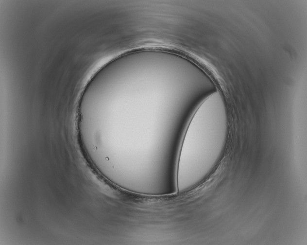X0000112111375200908041142