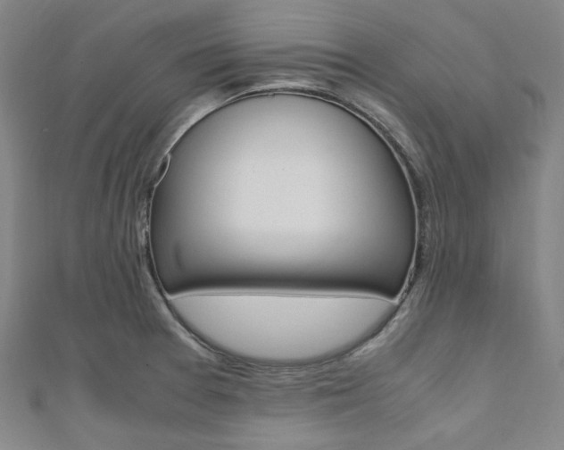 X0000112111377200908041142