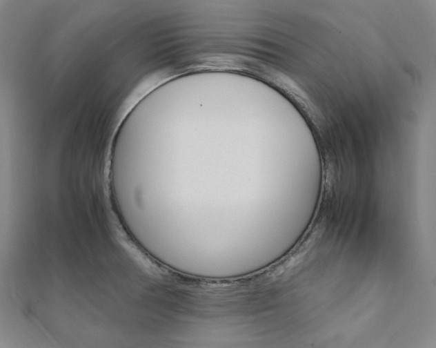 X0000112111378200908041142