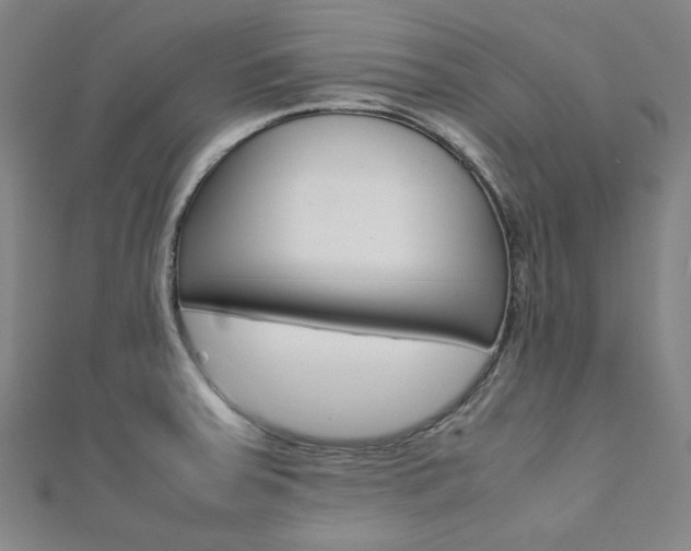 X0000112111379200908041142