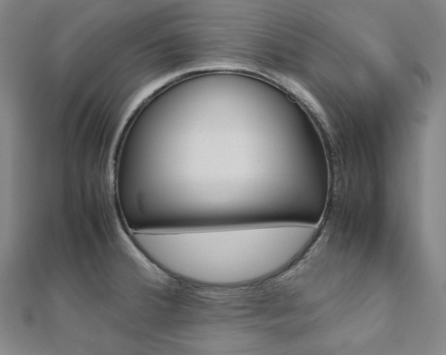 X0000112111380200908041142