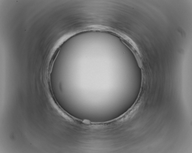 X0000112111381200908041142