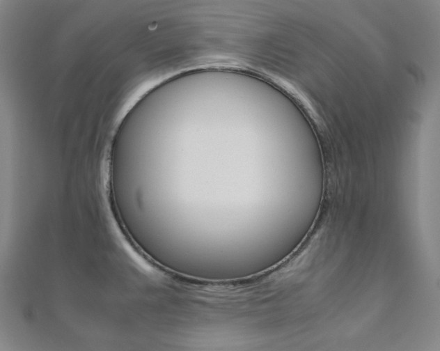 X0000112111383200908041142