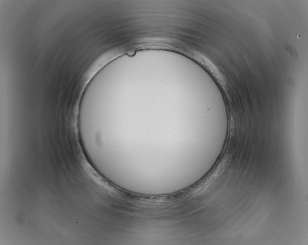 X0000112111386200908041142
