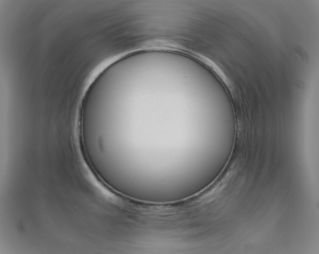 X0000112111387200908041142