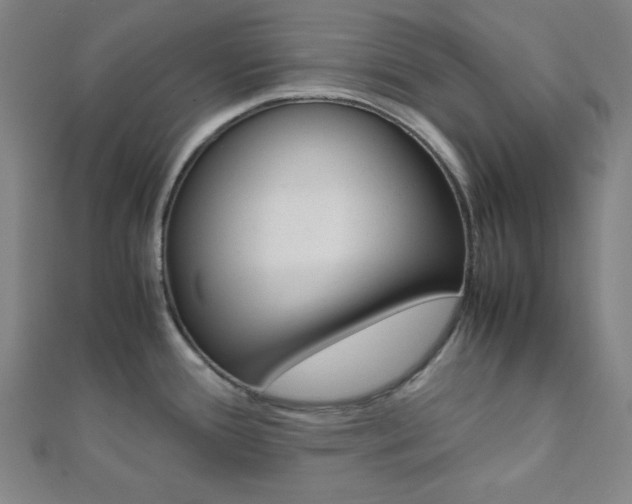 X0000112111388200908041142