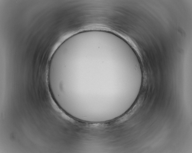 X0000112111390200908041142