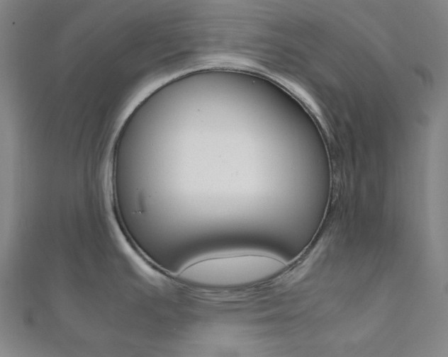 X0000112111391200908041142