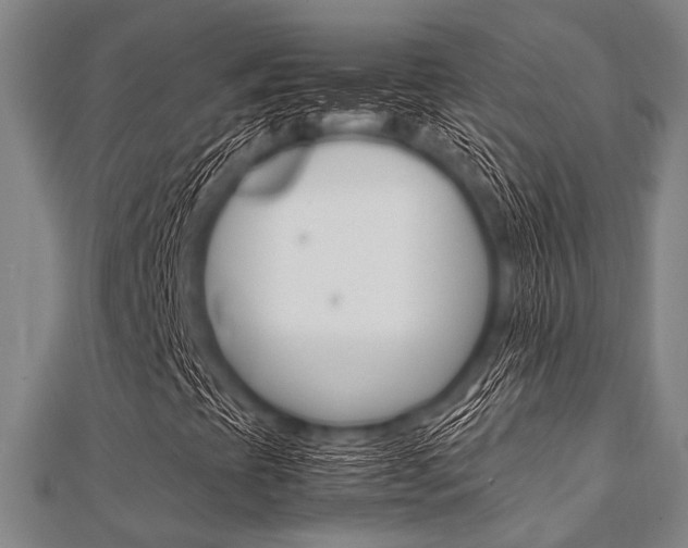 X0000112111393200908041141