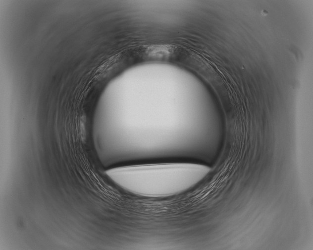 X0000112111394200908041141