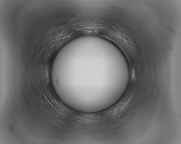 X0000112111396200908041141