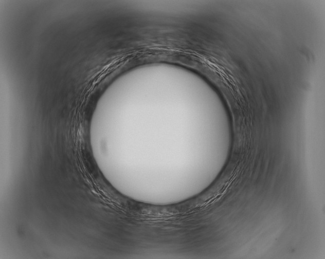 X0000112111397200908041141