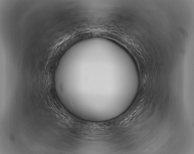 X0000112111398200908041141