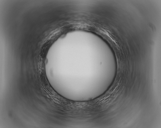 X0000112111399200908041141