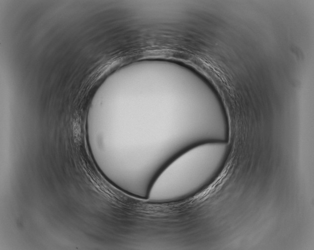 X0000112111401200908041141