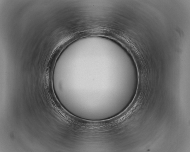 X0000112111402200908041141
