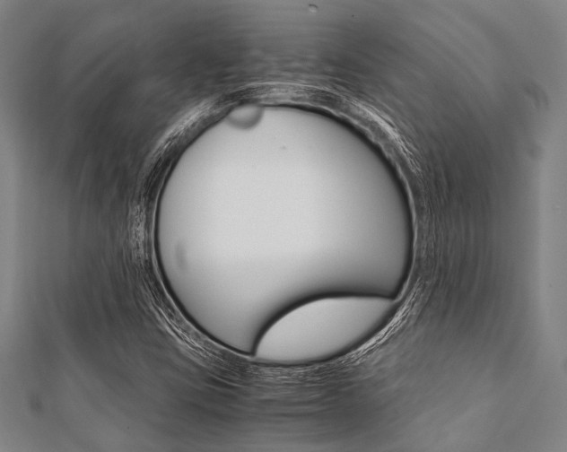 X0000112111403200908041141