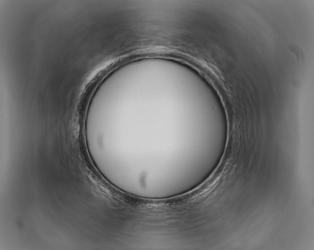 X0000112111406200908041141