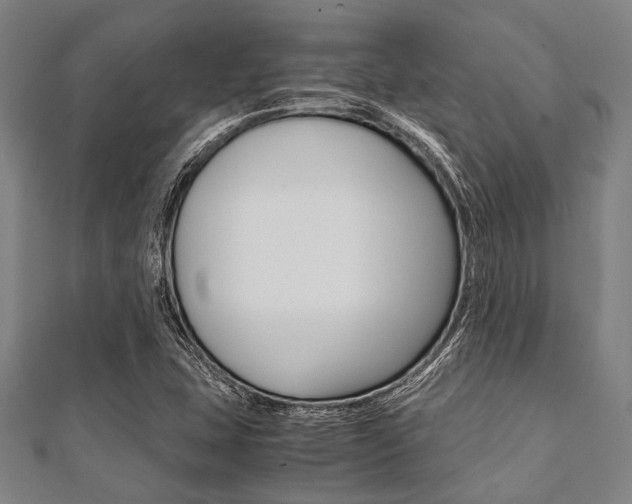 X0000112111407200908041141