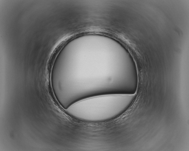 X0000112111408200908041141