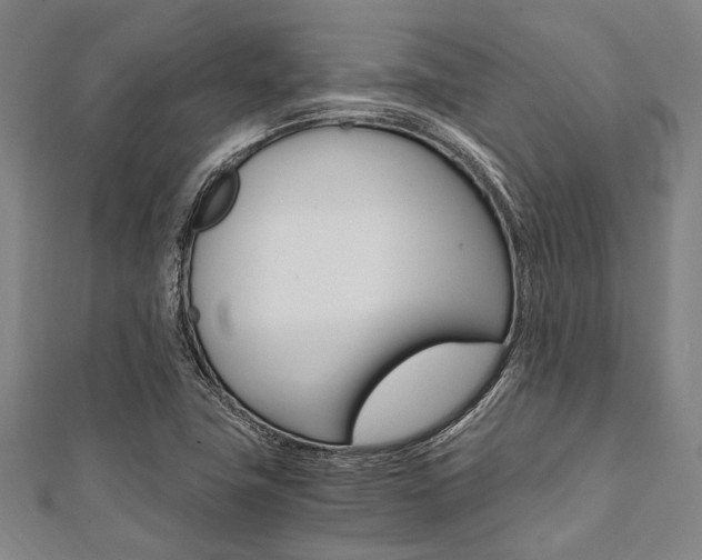 X0000112111411200908041141