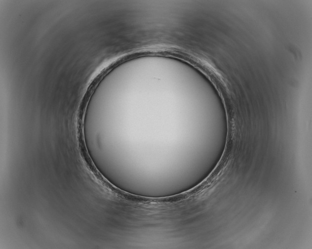X0000112111412200908041142