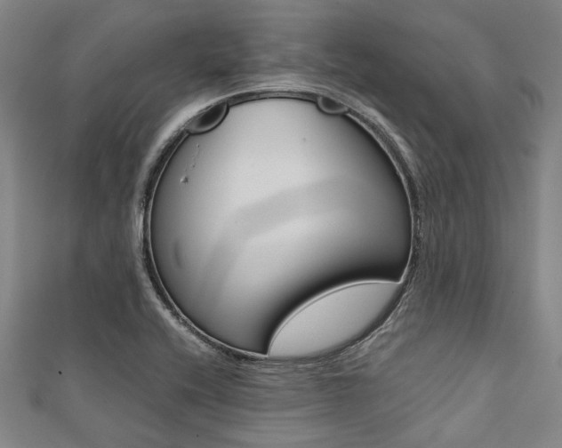 X0000112111416200908041142