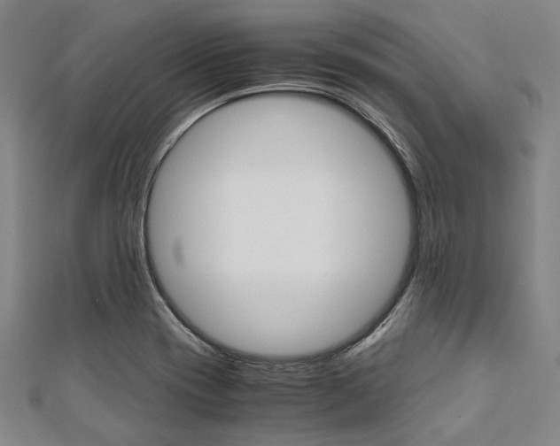 X0000112111417200908041142