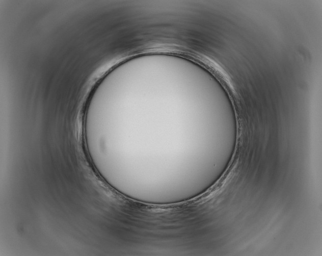 X0000112111419200908041142