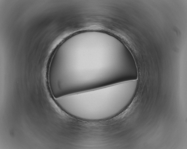 X0000112111422200908041142