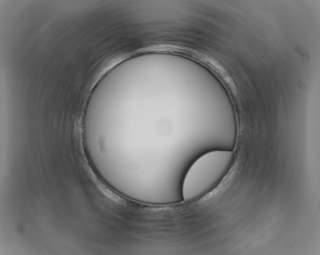X0000112111425200908041142